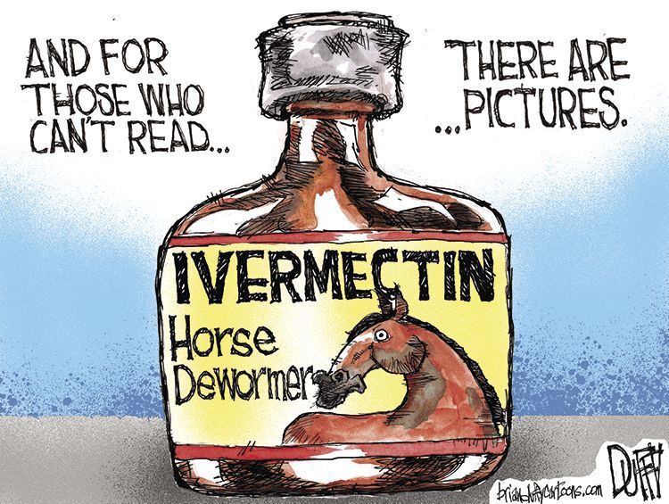 Horse dewormer...for horses